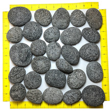 Load image into Gallery viewer, Tumbled Lava Stones Large (2&quot;-3&quot;) 10-lb Bag
