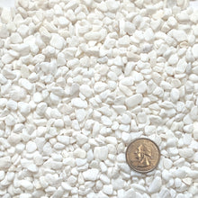 Load image into Gallery viewer, Natural Decorative White Bean Pebbles 1/5&quot; Size (10-lb Bag)
