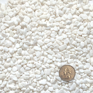 Natural Decorative White Bean Pebbles 1/5" Size (10-lb Bag)