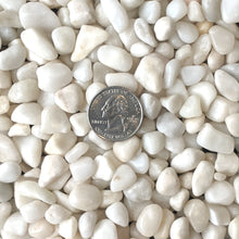 Load image into Gallery viewer, Decorative Polished White Pebbles 3/8&quot; Gravel Size (10-lb Bag)
